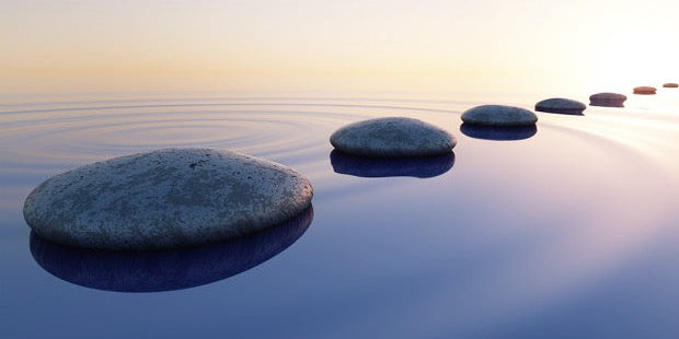 Holistic Wellness