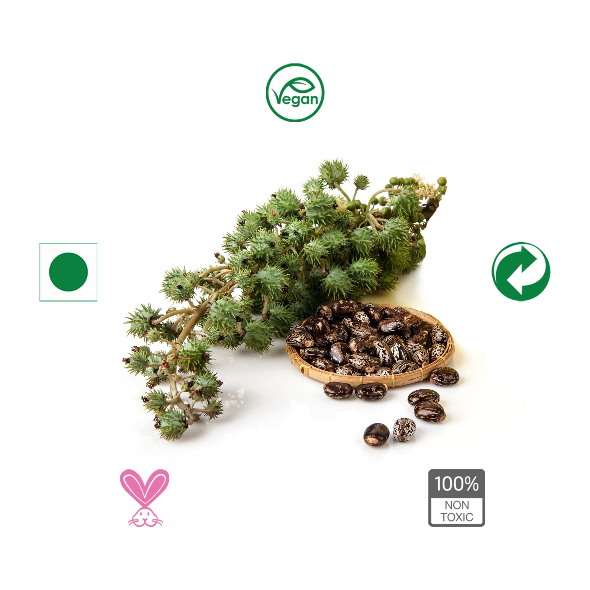 Pure Castor Oil