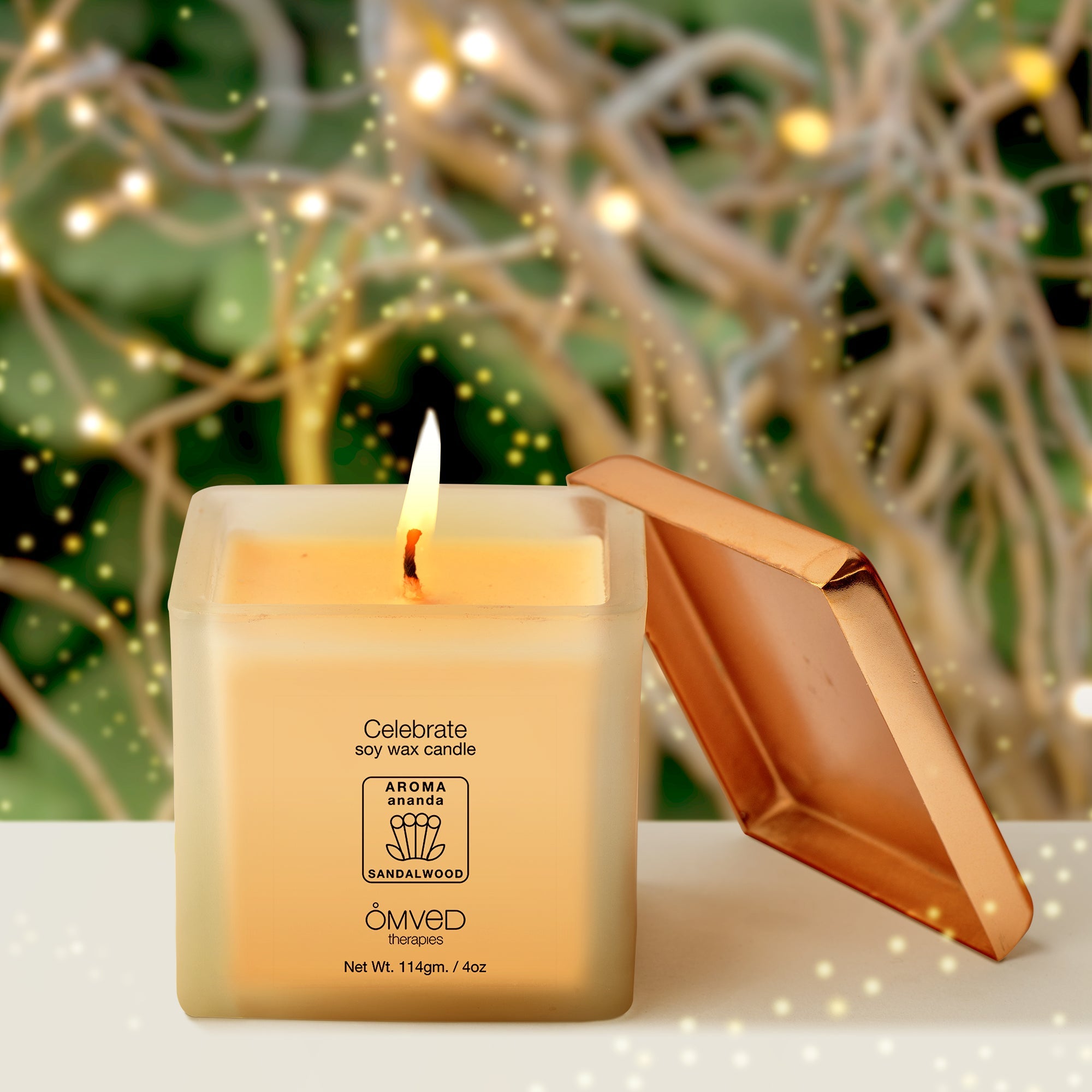 CelebrateSoyWaxCandles-MoodShots-2.jpg