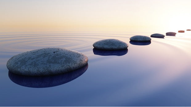 How to Start Your Holistic Wellness Journey