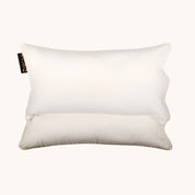 Buckwheat Pillow