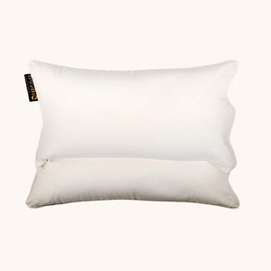 Buckwheat Pillow